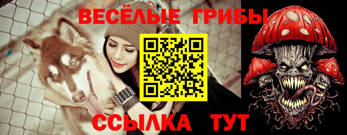 Псилоцибиновые грибы GOLDEN TEACHER Шебекино